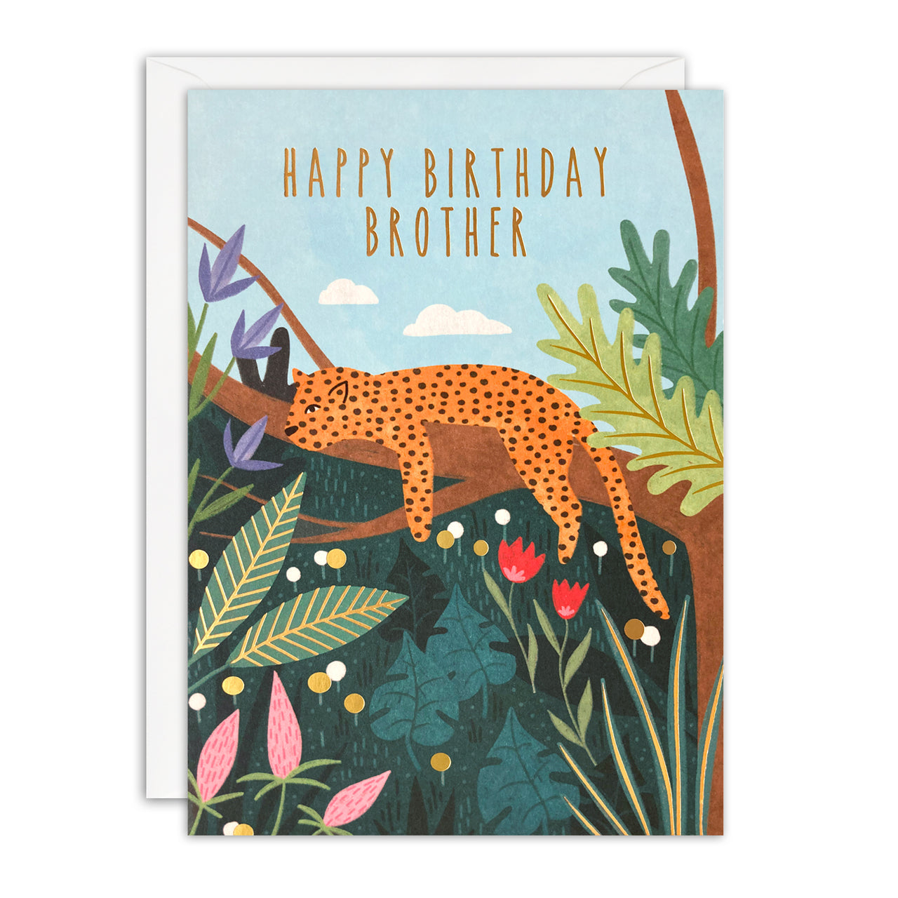 J4506 - Brother Birthday Leopard Sunbeams Card