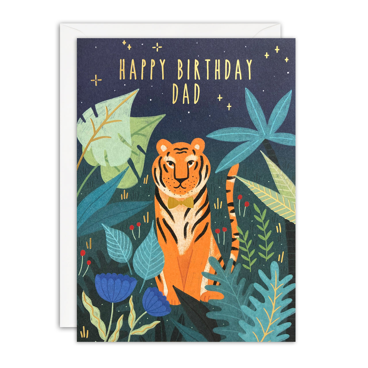 J4508 - Dad Birthday Tiger Sunbeams Card