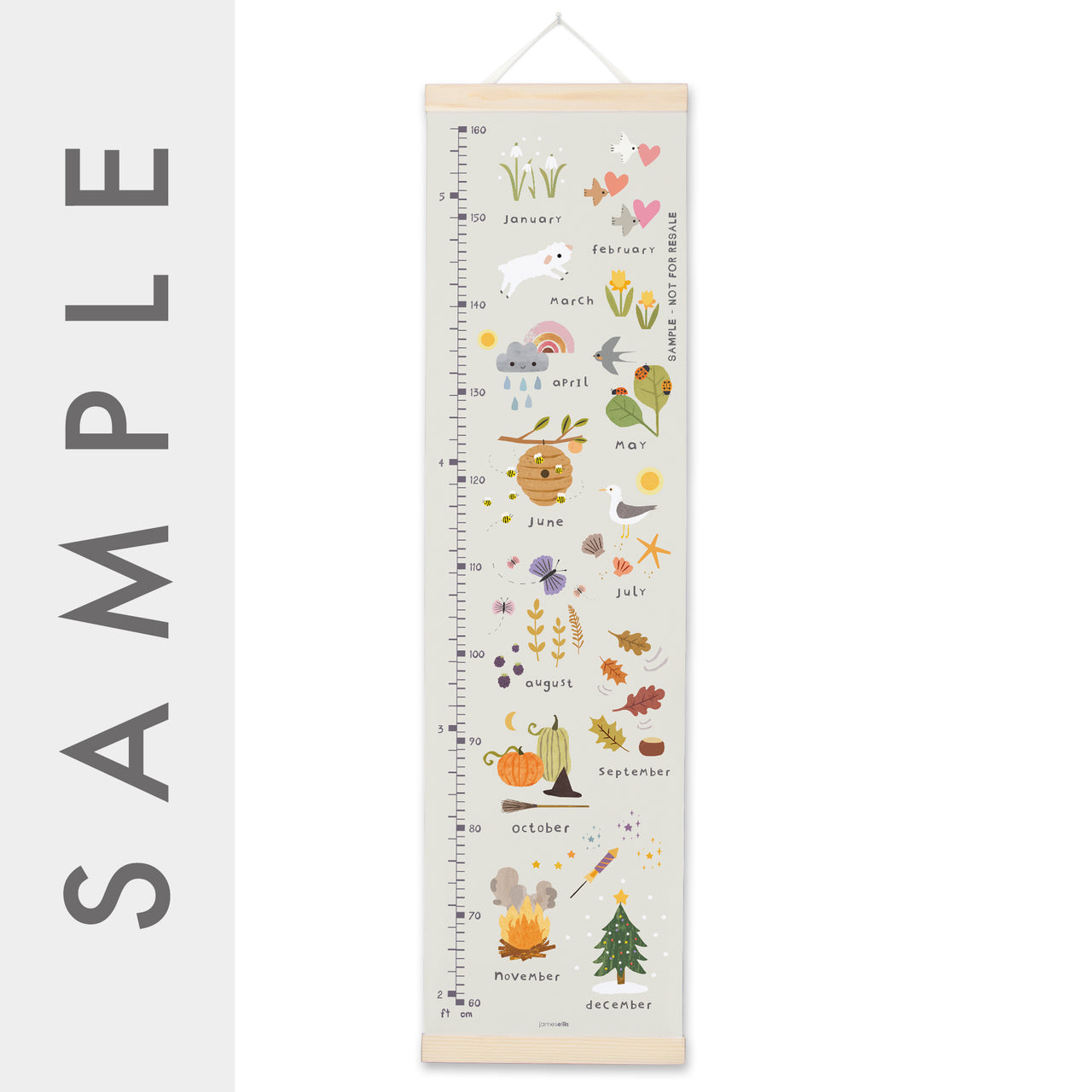 MBHC3795S - Months of the Year Height Chart SAMPLE