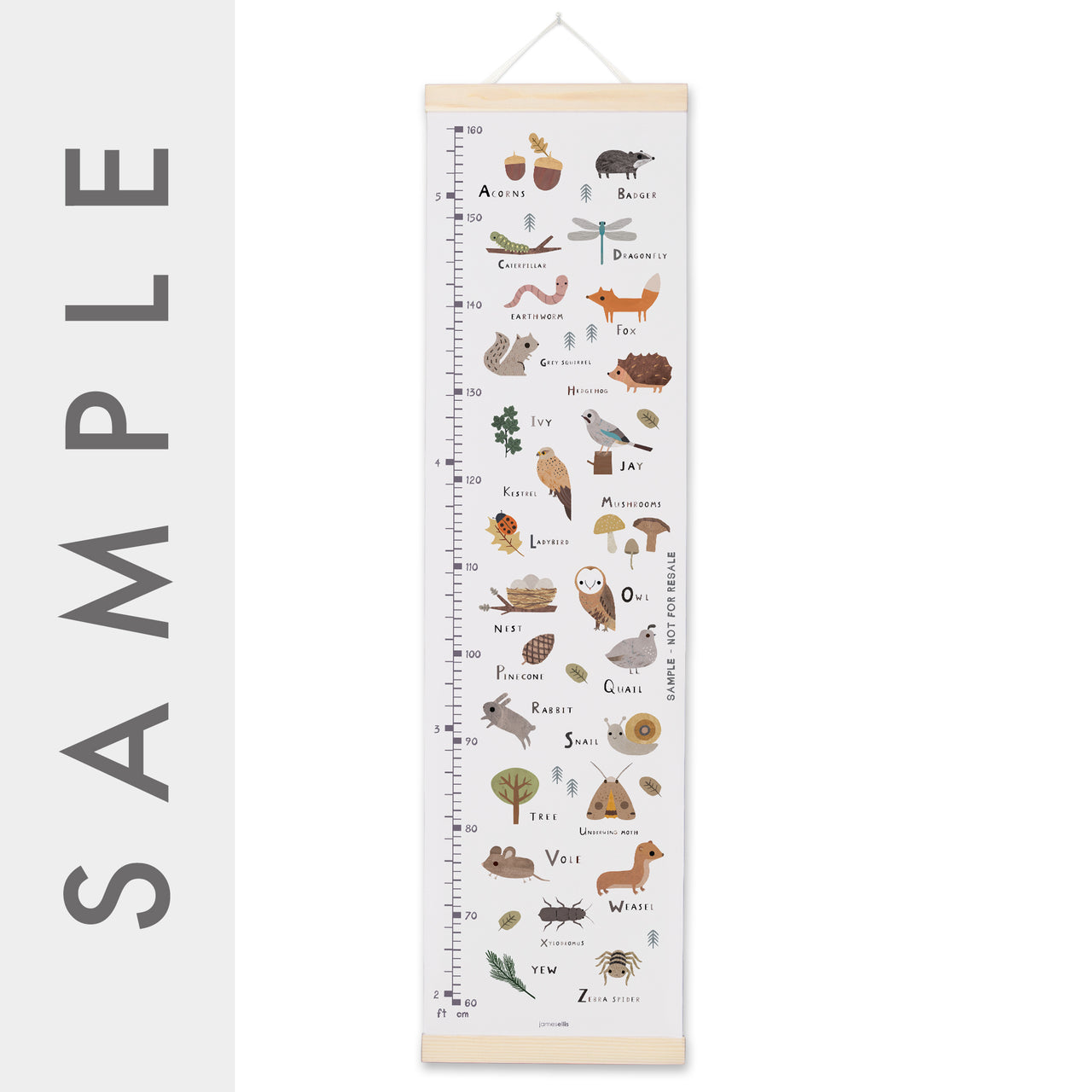 MBHC3822S - Woodland Alphabet Height Chart SAMPLE