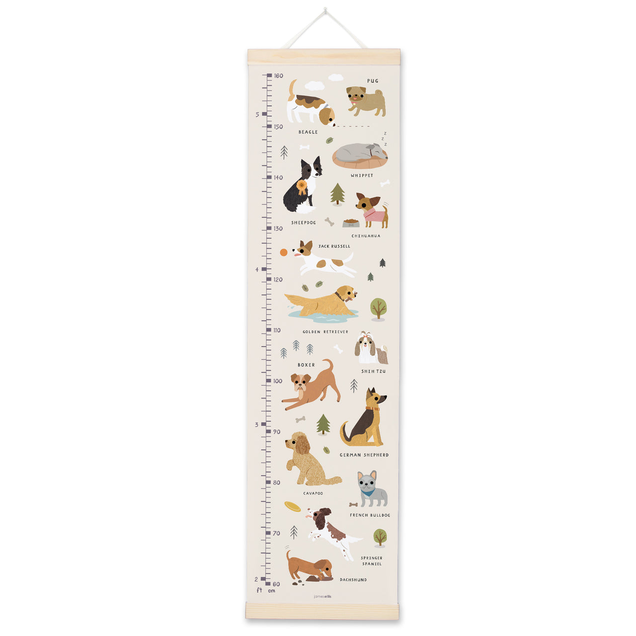 MBHC4969 - Dogs Height Chart