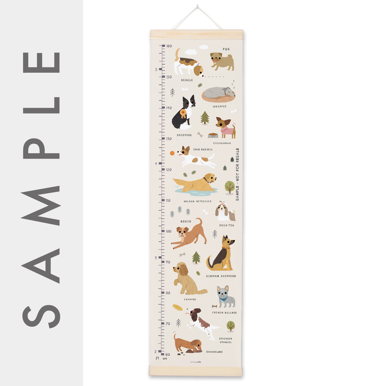 MBHC4969S - Dogs Height Chart SAMPLE
