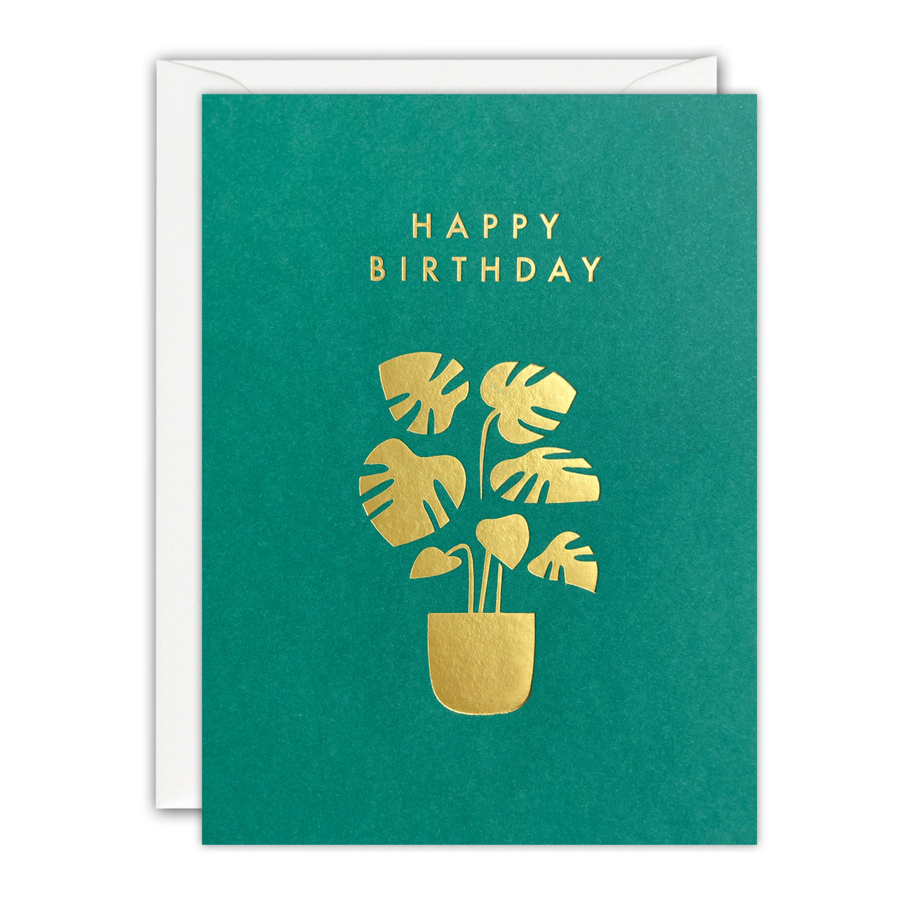 Q4308 - Birthday Monstera Plant Minnows Card