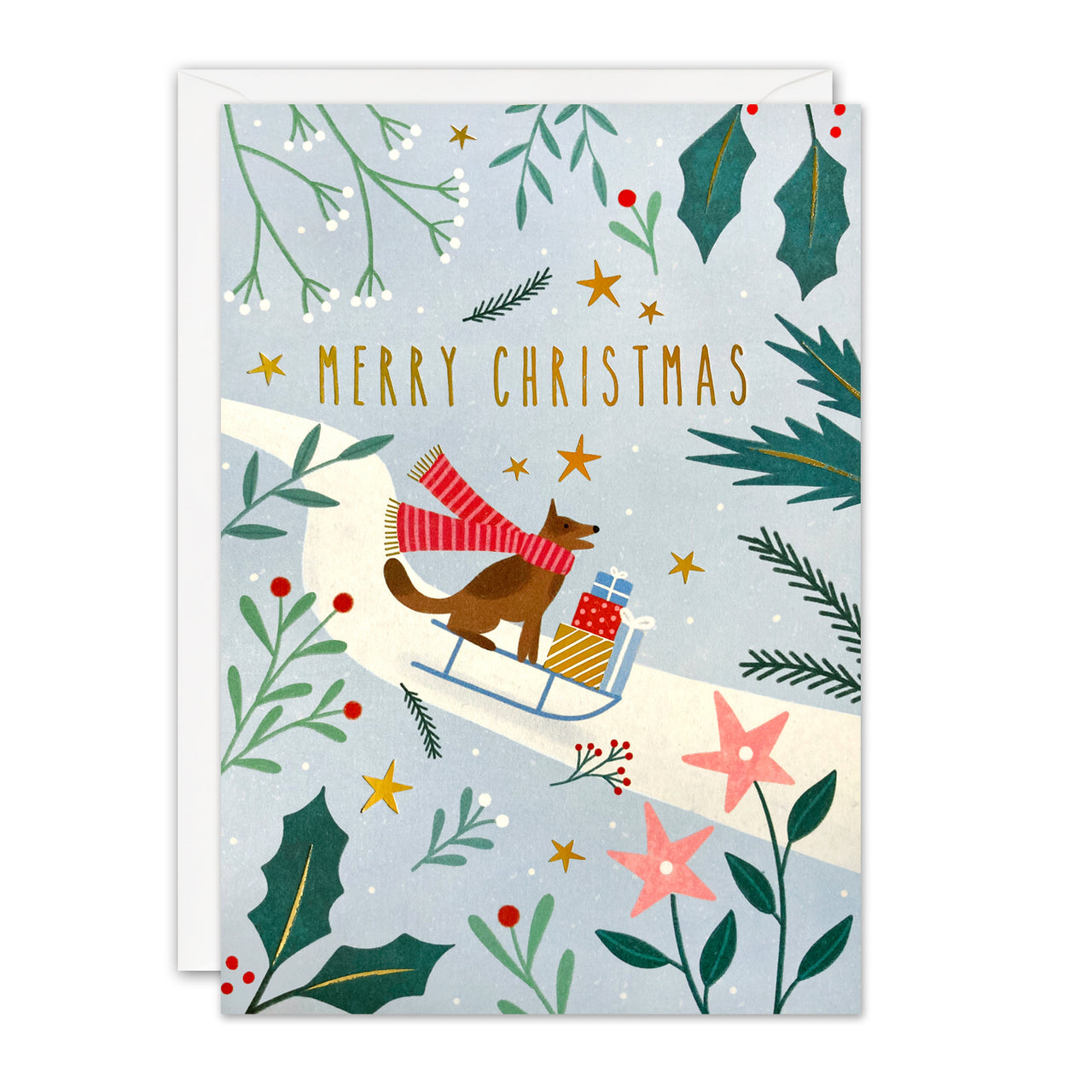 RJ4376 - Sledging Dog Christmas Sunbeams Card