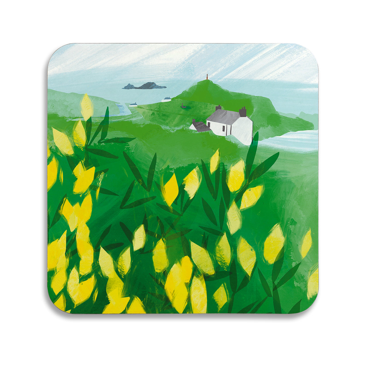 V4942 - Golden Gorse Cape Coaster