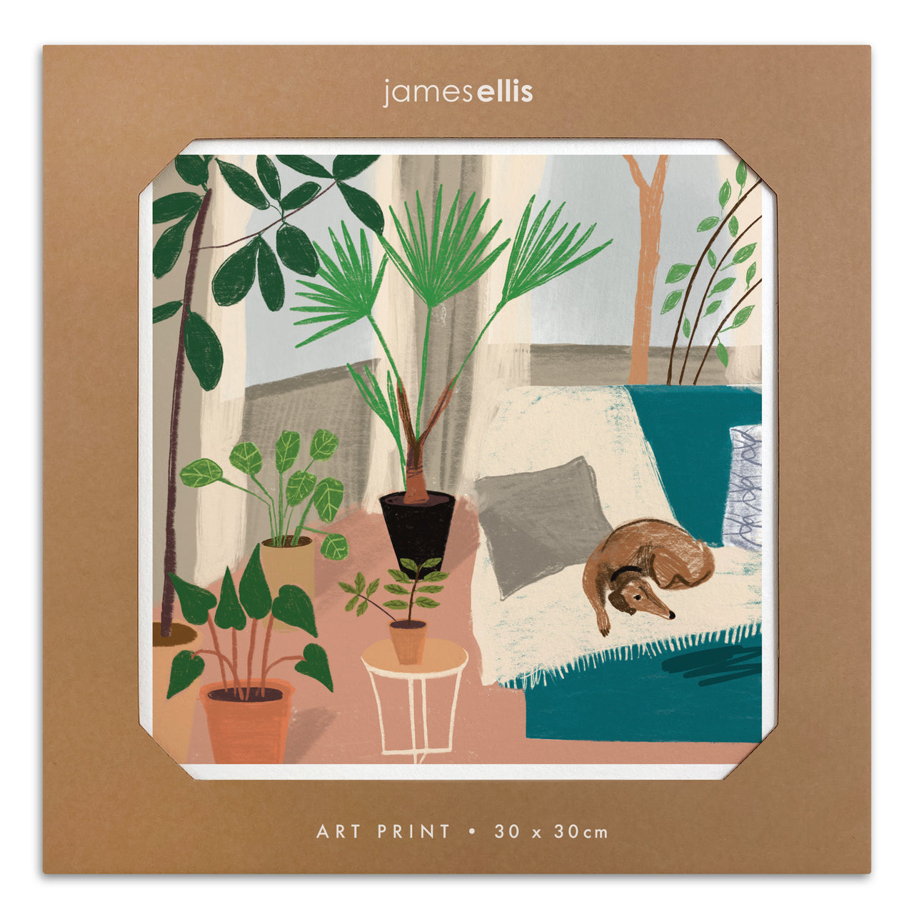 Y4547 - Dog Couch Print