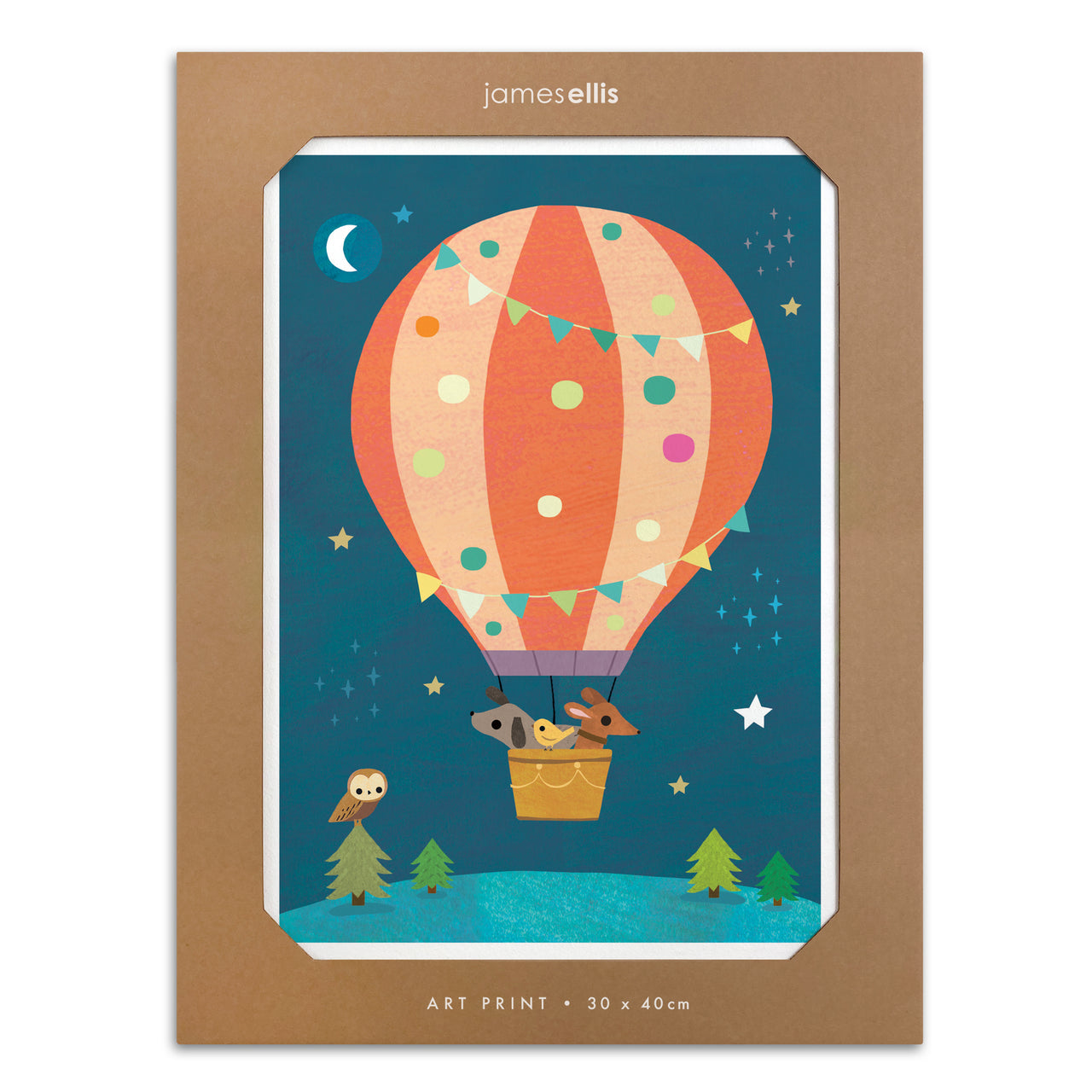 Y4687 - Night Balloon Ride Print