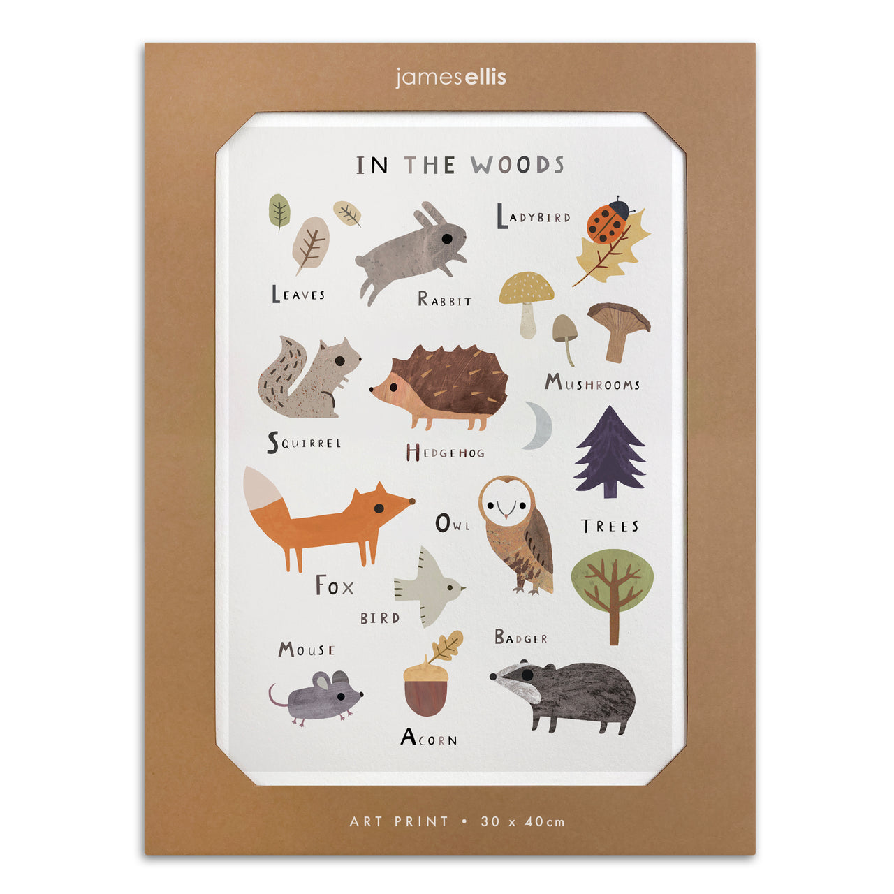 Y4691 - In the Woods Print