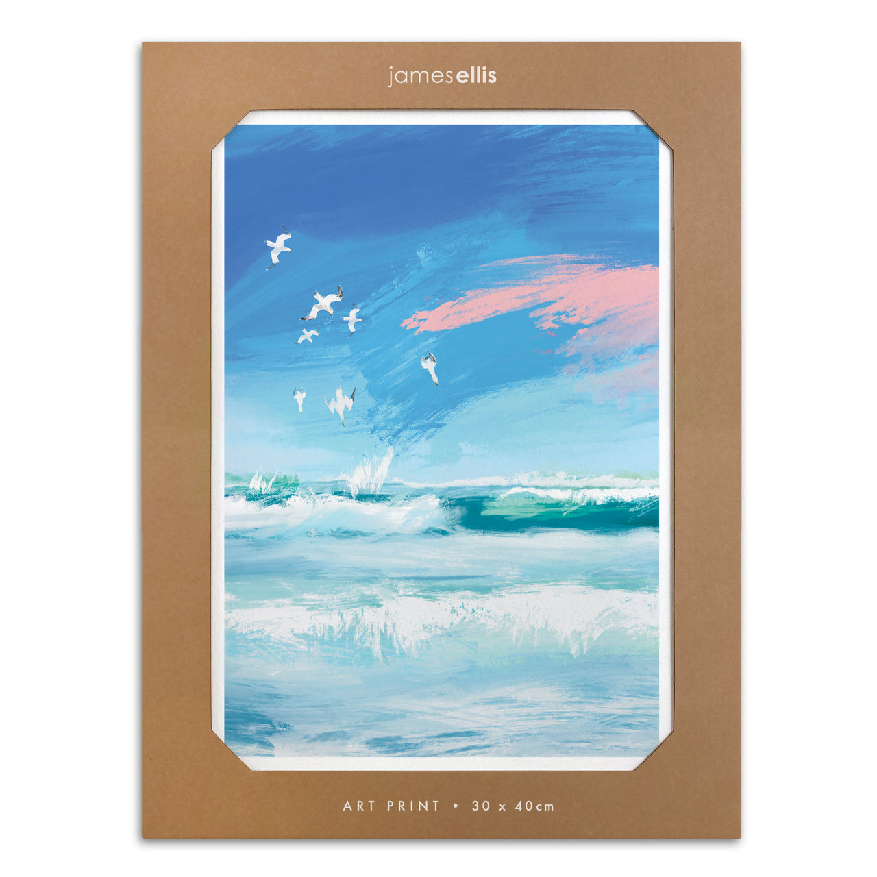 Y4795 - Diving Gannets Print