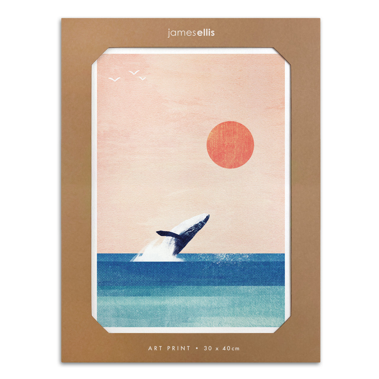 Y4862 - The Whale Print