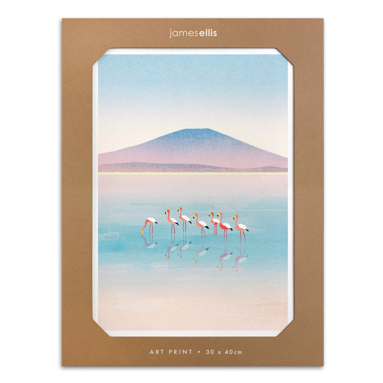 Y4863 - Flamingo Lake Print