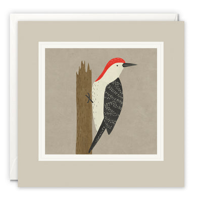 L3845 - Woodpecker Paintworks Card