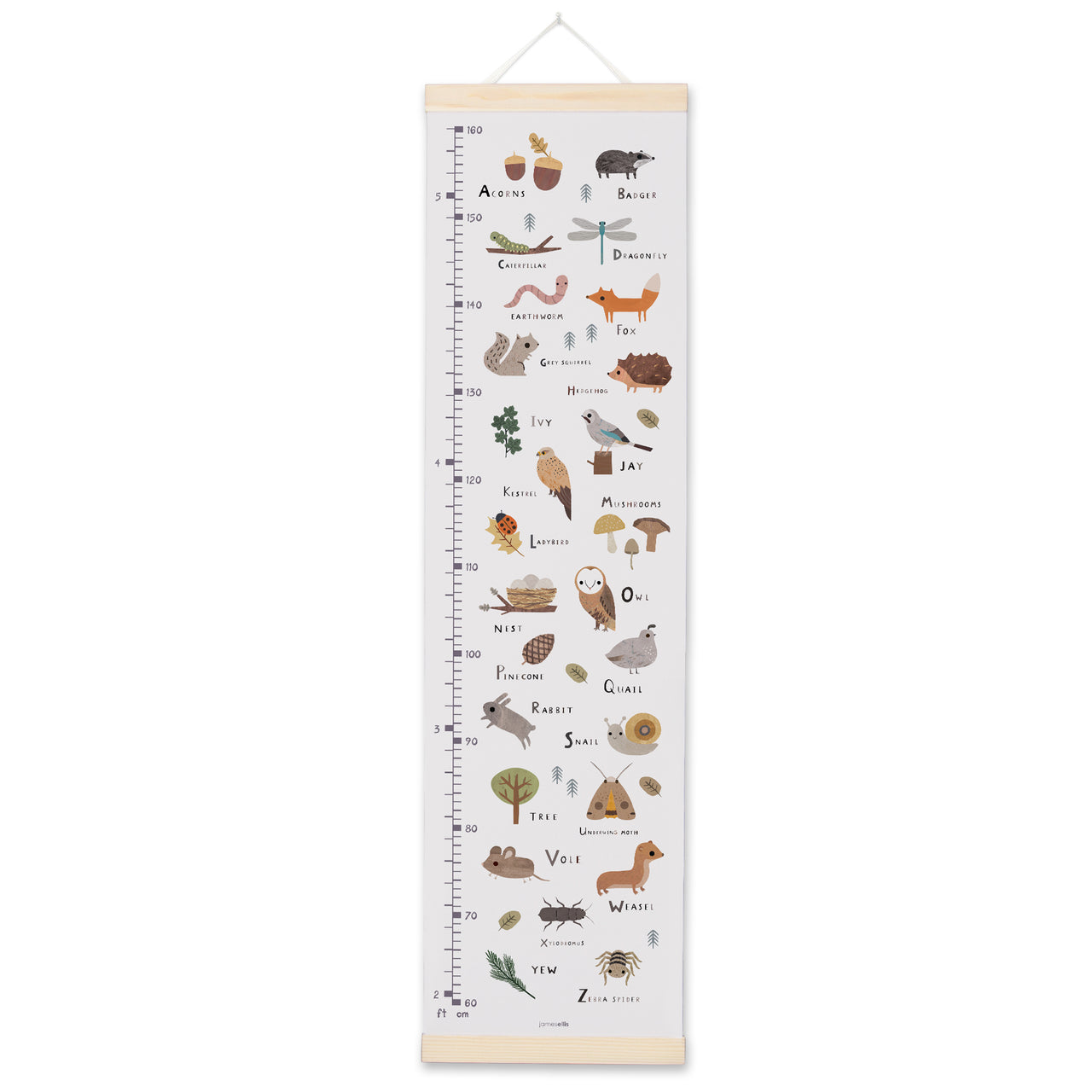 MBHC3822 - Woodland Alphabet Height Chart