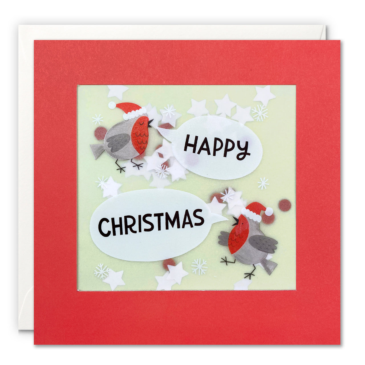 RPP3754 - Two Robins Christmas Paper Shakies Card