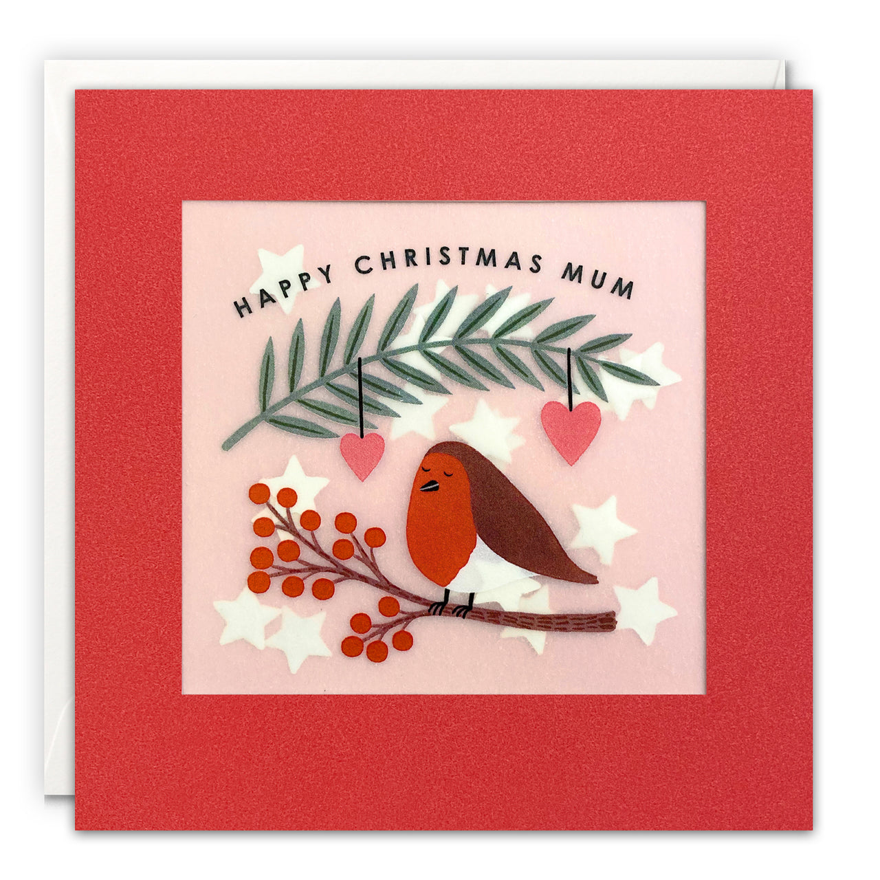 RPP3947 - Mum Robin Christmas Paper Shakies Card