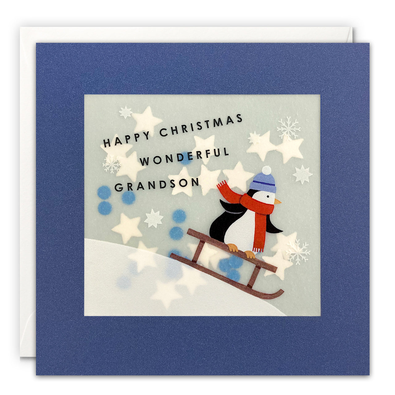 RPP3955 - Grandson Penguin Christmas Paper Shakies Card
